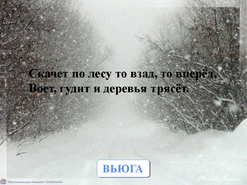 ВЬЮГА Скачет по лесу то взад, то вперёд, Воет, гудит и деревья трясёт.